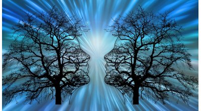 trees-g090b1165c_1280